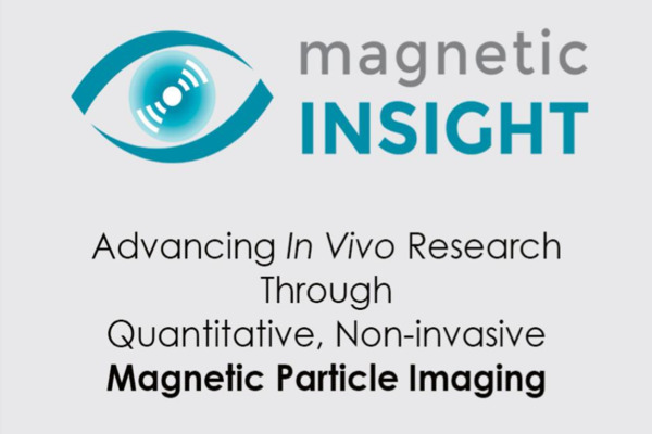 picture of magnetic insight workshop poster